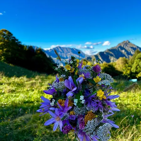 Perfect Point Лекко