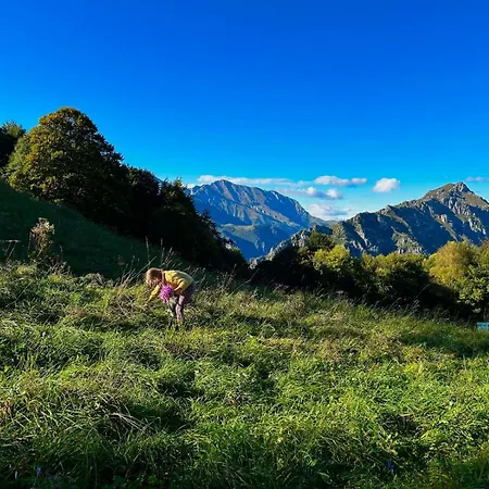 Perfect Point * 莱科