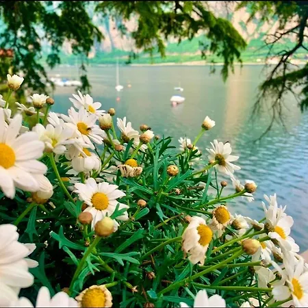 公寓 Perfect Point *