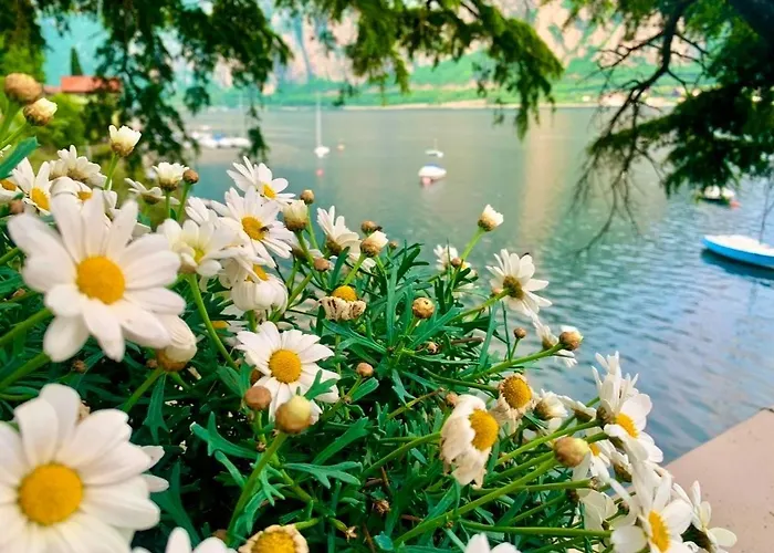 Appartement Perfect Point *