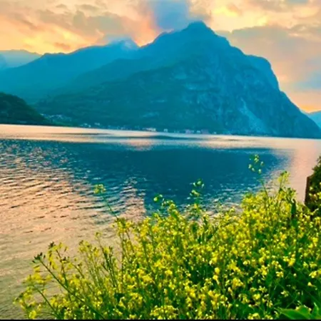 Perfect Point Appartement *