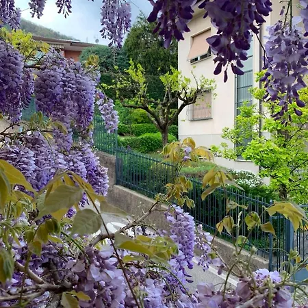 Perfect Point Appartement