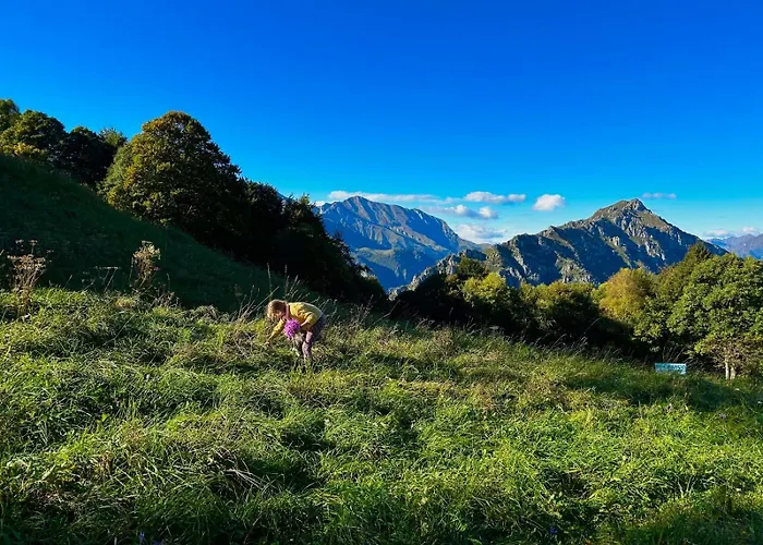 Perfect Point * Lecco