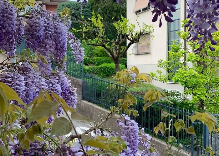 Perfect Point Apartment